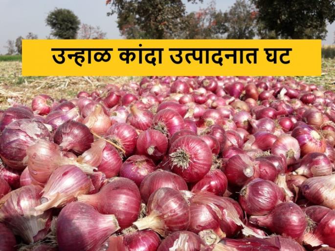 Latest News Fall in summer onion production In dhule district | धुळे जिल्ह्यात उन्हाळी कांदा उत्पादनात घट, खर्चाच्या तुलनेत भाव नाही! Latest News Fall in summer onion production In dhule district | धुळे जिल्ह्यात उन्हाळी कांदा उत्पादनात घट, खर्चाच्या तुलनेत भाव नाही!