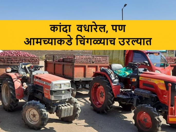 Onions rates increased on ShivJayanti in Lasalgaon apmc, but confusion is still there after onion export ban lifted | निर्यात खुली झाल्यावर शिवजयंतीला कांदा वधारला, पण संभ्रम कायम. वाचा ग्राऊंड रिपोर्ट Onions rates increased on ShivJayanti in Lasalgaon apmc, but confusion is still there after onion export ban lifted | निर्यात खुली झाल्यावर शिवजयंतीला कांदा वधारला, पण संभ्रम कायम. वाचा ग्राऊंड रिपोर्ट