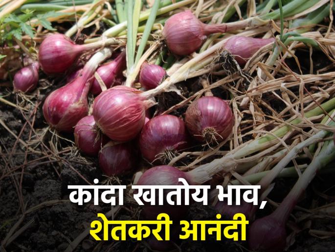 Good day to onion farmers | कांदा उत्पादक शेतकऱ्यांना अच्छे दिन
