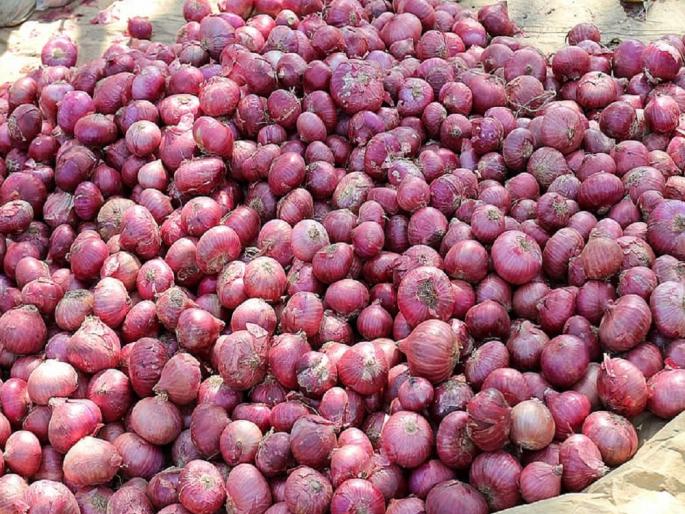 All onion markets in Nashik district will be closed tomorrow due to levy of 40 percent tax on onion export | कांद्याच्या निर्यातीवर ४० टक्के कर आकारल्याने उद्या नाशिक जिल्ह्यातील सर्व कांदा मार्केट बंद All onion markets in Nashik district will be closed tomorrow due to levy of 40 percent tax on onion export | कांद्याच्या निर्यातीवर ४० टक्के कर आकारल्याने उद्या नाशिक जिल्ह्यातील सर्व कांदा मार्केट बंद