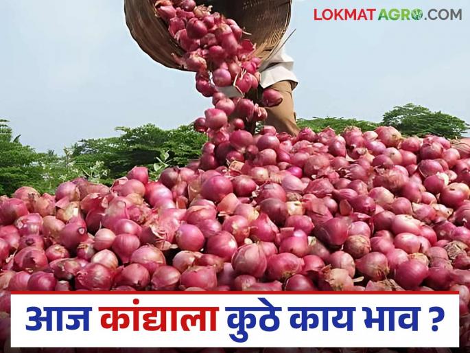 Latest News Kanda Bajarbhav Todays number one onion market price in Baramati-Jalochi yard Read in detail | Kanda Bajarbhav : बारामती-जळोची बाजारात नंबर एकच्या कांद्याला काय भाव मिळाला? वाचा सविस्तर