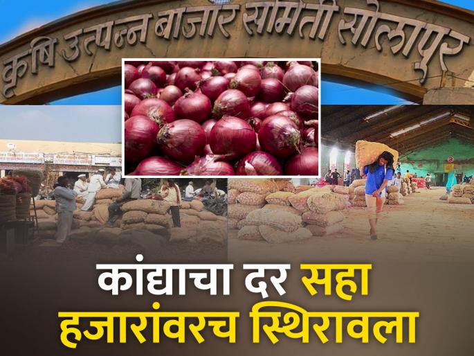 Inflow of 300 truckloads of onion per day in Solapur market committee | सोलापूर बाजार समितीमध्ये दररोज ३०० ट्रक कांद्याची आवक Inflow of 300 truckloads of onion per day in Solapur market committee | सोलापूर बाजार समितीमध्ये दररोज ३०० ट्रक कांद्याची आवक