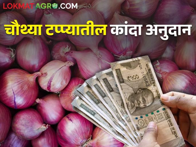 Latest News Onion subsidy of the fourth phase deposited in farmer's account | कांदा अनुदानाचा चौथ्या टप्पा जमा होण्यास सुरवात, मात्र अनेक शेतकरी वंचित  Latest News Onion subsidy of the fourth phase deposited in farmer's account | कांदा अनुदानाचा चौथ्या टप्पा जमा होण्यास सुरवात, मात्र अनेक शेतकरी वंचित
