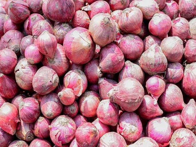 When and how much will come to the onion subsidy account? | म्हणून शेतकऱ्यांच्या खात्यावर कांदा अनुदान इतकंच जमा होणार When and how much will come to the onion subsidy account? | म्हणून शेतकऱ्यांच्या खात्यावर कांदा अनुदान इतकंच जमा होणार