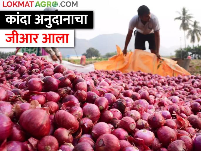 Latest News new GR of of onion subsidy has been announced by maharashtra government | कांदा अनुदानाचा नवा जीआर आला, कुणाला मिळणार अनुदान? वाचा सविस्तर  Latest News new GR of of onion subsidy has been announced by maharashtra government | कांदा अनुदानाचा नवा जीआर आला, कुणाला मिळणार अनुदान? वाचा सविस्तर