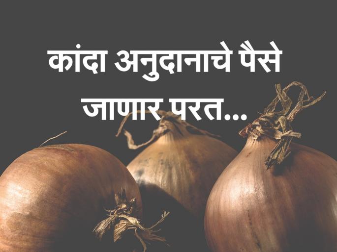 farmers asked to pay back Onion subsidy | या शेतकऱ्यांना कांदा अनुदानाचे पैसे करावे लागणार परत, असा आहे प्रकार farmers asked to pay back Onion subsidy | या शेतकऱ्यांना कांदा अनुदानाचे पैसे करावे लागणार परत, असा आहे प्रकार