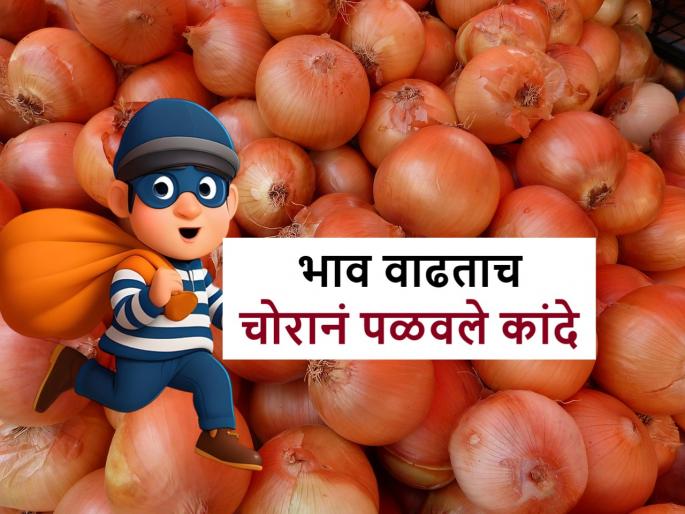 Onion Theft: onion theft in Kalamb, Pune due to rise in price | Onion Theft: चोरट्यांनी वळवला कांद्याकडे मोर्चा; कळंबच्या शेतकऱ्याकडे झाली कांदा चोरी Onion Theft: onion theft in Kalamb, Pune due to rise in price | Onion Theft: चोरट्यांनी वळवला कांद्याकडे मोर्चा; कळंबच्या शेतकऱ्याकडे झाली कांदा चोरी