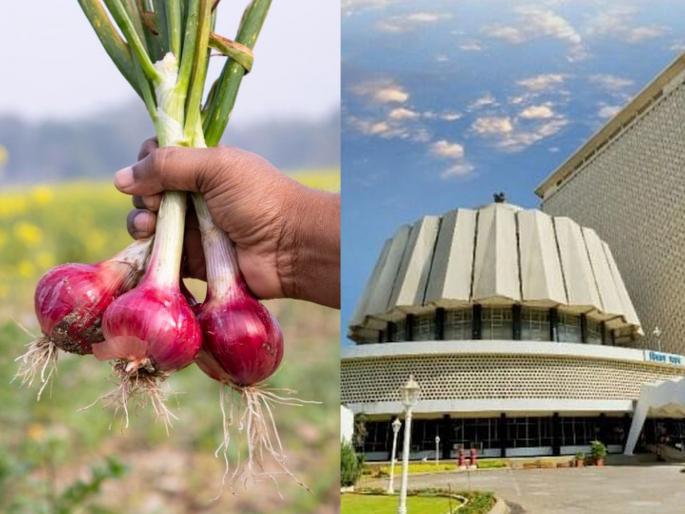 Onion Rate Hike: The government's election calculations will cost the common man, onion may go up to Rs.100 | सरकारचे निवडणुकीचे गणित सर्वसामान्यांना महागात पडणार, कांदा 100 रुपयांपर्यंत जाण्याची शक्यता Onion Rate Hike: The government's election calculations will cost the common man, onion may go up to Rs.100 | सरकारचे निवडणुकीचे गणित सर्वसामान्यांना महागात पडणार, कांदा 100 रुपयांपर्यंत जाण्याची शक्यता
