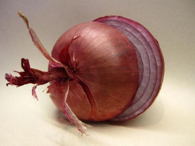 benefits of red onion for health skin and hair | लाल कांद्याचे 'हे' आरोग्यदायी फायदे तुम्हाला माहीत आहेत का?