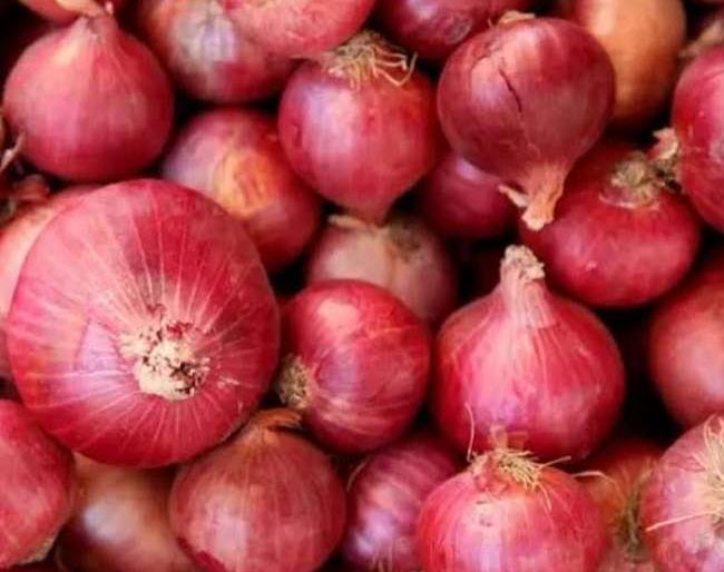 Agricultural auctions closed due to Corona Containment Zone | कोरोना कंटेन्मेंट झोनमुळे शेतमालाचे लिलाव बंद Agricultural auctions closed due to Corona Containment Zone | कोरोना कंटेन्मेंट झोनमुळे शेतमालाचे लिलाव बंद