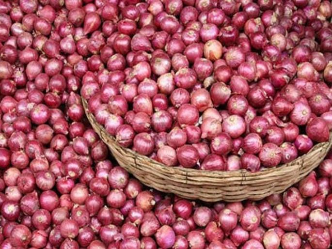 Government decides to import onions from Turkey | पेट्रोलपेक्षा कांदा महाग; तुर्की तब्बल 11 हजार टन कांदा पाठवणार Government decides to import onions from Turkey | पेट्रोलपेक्षा कांदा महाग; तुर्की तब्बल 11 हजार टन कांदा पाठवणार