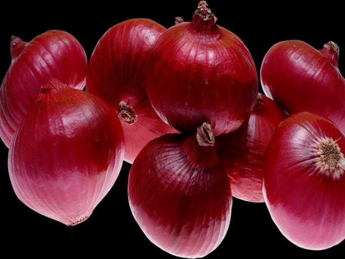 Kada's onion will sell in Indonesia | कड्याचा गावरान कांदा इंडोनेशियात; आवक वाढल्याने शेकडो मजुरांना मिळाला रोजगार Kada's onion will sell in Indonesia | कड्याचा गावरान कांदा इंडोनेशियात; आवक वाढल्याने शेकडो मजुरांना मिळाला रोजगार