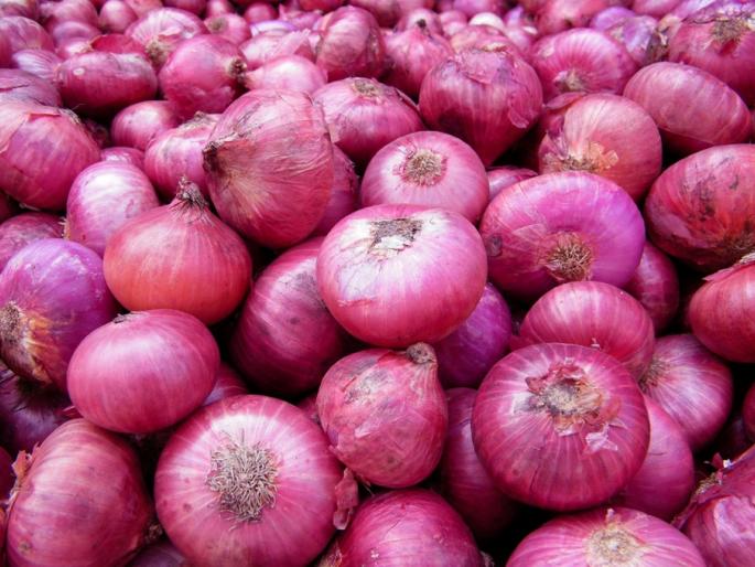 onion price may hike this year | Onion Price : कांदा आणखी रडवणार; यंदा शंभरी पार करणार onion price may hike this year | Onion Price : कांदा आणखी रडवणार; यंदा शंभरी पार करणार