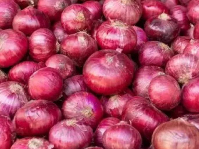 Onion seeds of the reputed company are found to be defective; Grievance Redressal Committee Report | नामांकित कंपनीचे कांदा बियाणे आढळले सदोष; तक्रार निवारण समितीचा अहवाल Onion seeds of the reputed company are found to be defective; Grievance Redressal Committee Report | नामांकित कंपनीचे कांदा बियाणे आढळले सदोष; तक्रार निवारण समितीचा अहवाल