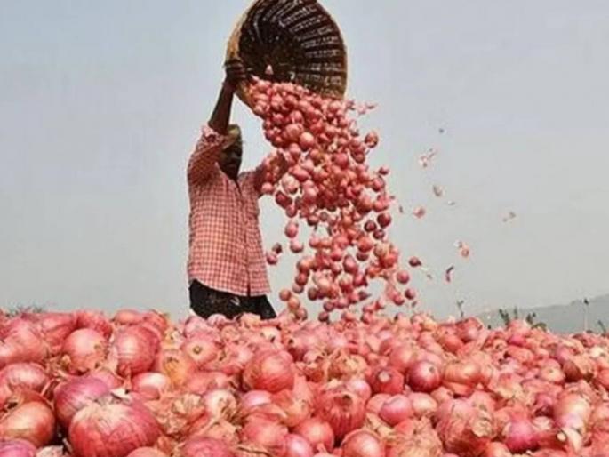 Export of 99 thousand tons of red onion allowed to six countries; | सहा देशांमध्ये ९९ हजार टन लाल कांद्याच्या निर्यातीस परवानगी; निर्णय नवा की जुनाच?, याची चर्चा Export of 99 thousand tons of red onion allowed to six countries; | सहा देशांमध्ये ९९ हजार टन लाल कांद्याच्या निर्यातीस परवानगी; निर्णय नवा की जुनाच?, याची चर्चा