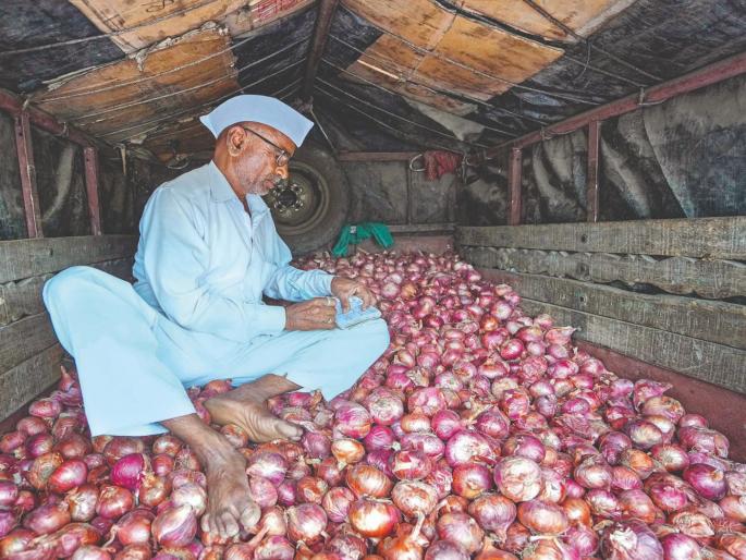 1,173 crores worth of onion; The farmers of the state were hit by Rs 3 lakh per acre | कांदा निर्यातबंदीची मोठी किंमत मोजावी लागली; राज्यातील शेतकऱ्यांना एकरी तीन लाखांचा फटका 1,173 crores worth of onion; The farmers of the state were hit by Rs 3 lakh per acre | कांदा निर्यातबंदीची मोठी किंमत मोजावी लागली; राज्यातील शेतकऱ्यांना एकरी तीन लाखांचा फटका