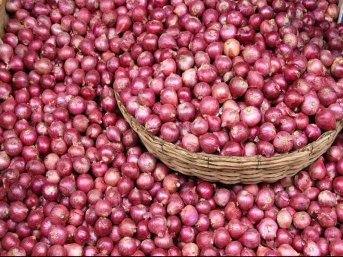 As soon as the export ban is lifted, onion prices increase by Rs. 500 | निर्यातबंदी हटताच कांदा भावात ५०० रूपयांनी वाढ As soon as the export ban is lifted, onion prices increase by Rs. 500 | निर्यातबंदी हटताच कांदा भावात ५०० रूपयांनी वाढ