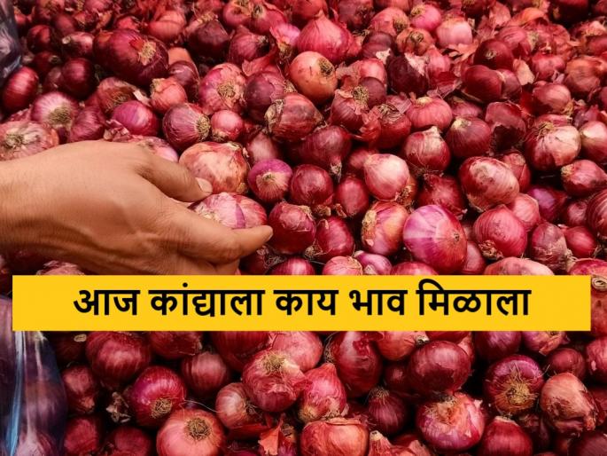 Latest news todays Onion Market Price on eid 2024 see details | Onion Market : ईदला कांद्याचा बाजारभाव कसा राहिला? जाणून घ्या आजचे सविस्तर दर Latest news todays Onion Market Price on eid 2024 see details | Onion Market : ईदला कांद्याचा बाजारभाव कसा राहिला? जाणून घ्या आजचे सविस्तर दर