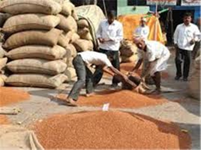 online registration for purchase of pulses needed | तुरीची आॅनलाइन नोंदणी करण्याची गरज online registration for purchase of pulses needed | तुरीची आॅनलाइन नोंदणी करण्याची गरज