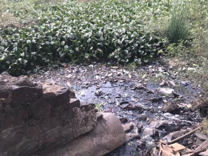 Tilak Lake at Dharangaon is taking its last breath | धरणगाव येथील टिळक तलाव घेतोय शेवटचा श्वास