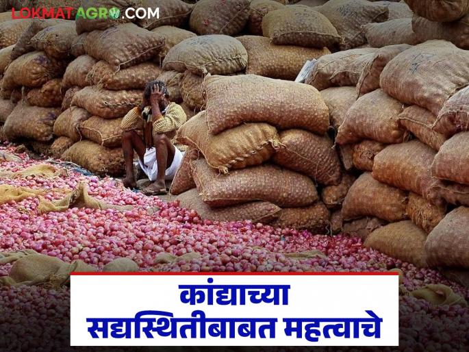 Latest News Onion Exporters Association's letter to Central government about current situation of onions | कांदा निर्यातदार संघटनेचे केंद्राला पत्र, शेतकऱ्यांकडे किती कांदा शिल्लक, भाव काय मिळतील?