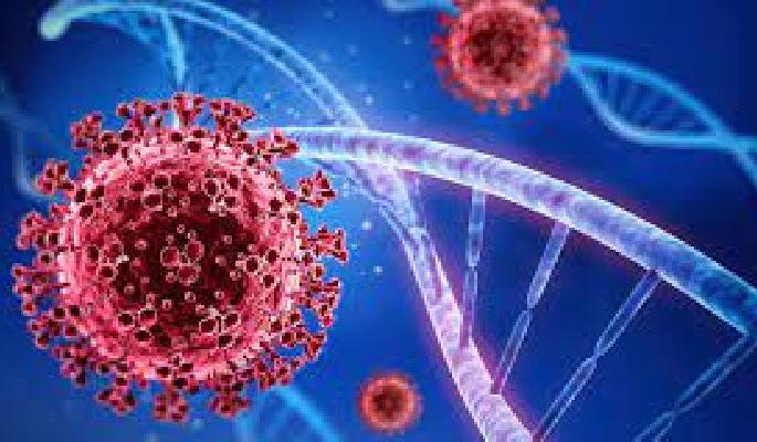 nagpur reports 832 Positive covi-19 cases in last 24 hours | धडकी भरवणारा आकडा! ८३२ पॉझिटिव्ह nagpur reports 832 Positive covi-19 cases in last 24 hours | धडकी भरवणारा आकडा! ८३२ पॉझिटिव्ह