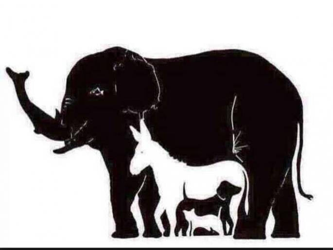 How many animals can you see in this optical illusion | ना ४ ना ५ ना १०....शोधा 'या' फोटोत किती प्राणी आहेत? भलेभले झाले शोधून हैराण....