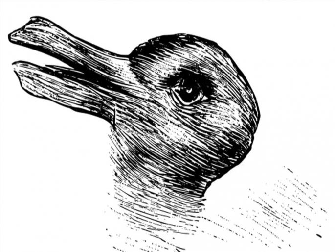 Optical illusion : Can you find Two different creatures in this picture? | Optical Illusion: या फोटोत आहेत दोन वेगवेगळे जीव, दुसरा शोधाल तर आनंदाने उड्या माराल! Optical illusion : Can you find Two different creatures in this picture? | Optical Illusion: या फोटोत आहेत दोन वेगवेगळे जीव, दुसरा शोधाल तर आनंदाने उड्या माराल!