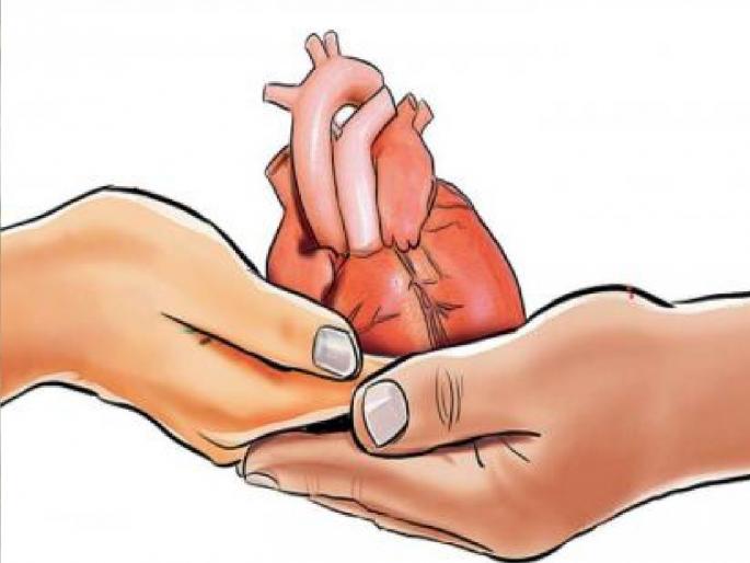World Organ Donation Day: Kolhapur city is moving towards becoming a center for organ donation awareness | World organ donation day: मृत्यूचा उत्सव साजरा करण्यातही कोल्हापूरकरांचा पुढाकार World Organ Donation Day: Kolhapur city is moving towards becoming a center for organ donation awareness | World organ donation day: मृत्यूचा उत्सव साजरा करण्यातही कोल्हापूरकरांचा पुढाकार