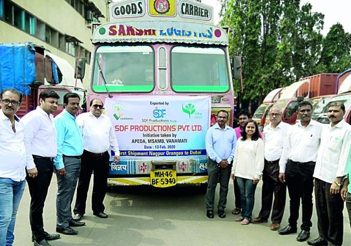 First batch of Nagpuri orange leaves for Dubai | नागपुरी संत्र्याची पहिली खेप दुबईला रवाना First batch of Nagpuri orange leaves for Dubai | नागपुरी संत्र्याची पहिली खेप दुबईला रवाना