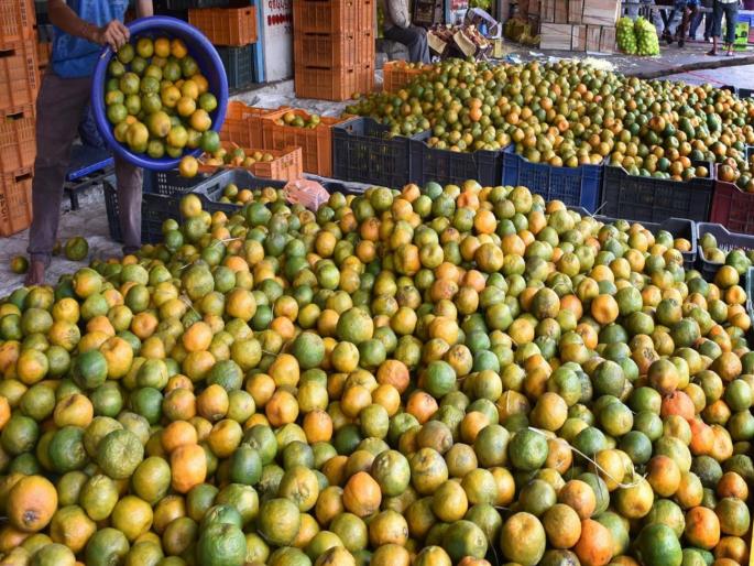 pune news nagpur oranges begin arriving at Market Yard Fruit Market | मार्केटयार्ड फळबाजारात नागपूर संत्र्याची आवक सुरू