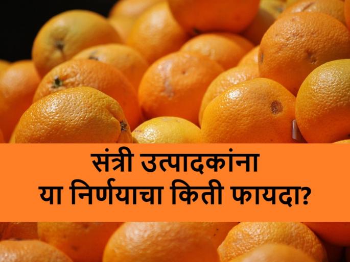 How Nagpur orange farmers will benefited by citrus estate scheme | लिंबूवर्गीय फळपिकांसाठीच्या तीन सिट्रस इस्टेटसाठी ७ कोटींचा निधी How Nagpur orange farmers will benefited by citrus estate scheme | लिंबूवर्गीय फळपिकांसाठीच्या तीन सिट्रस इस्टेटसाठी ७ कोटींचा निधी