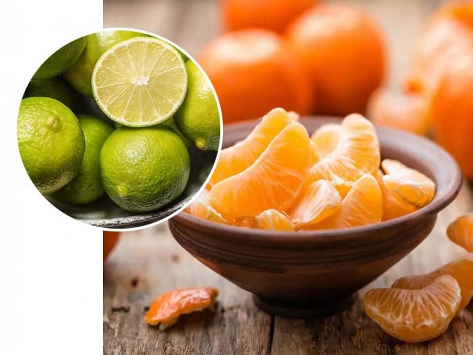 Eat oranges, stay healthy; 7 Benefits of Eating Juicy Fruits | थंडीत संत्री-मोसंबी खा, तंदुरुस्त राहा; रसदार फळं खाण्याचे 7 फायदे
