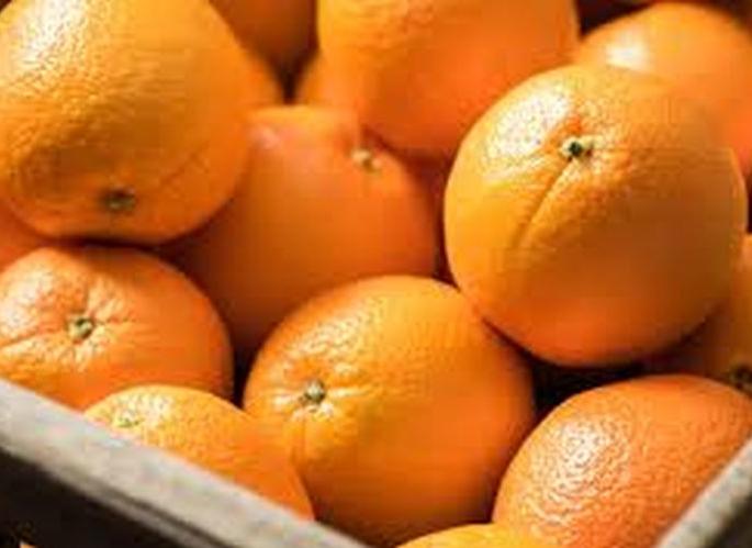CoronaVirus: Increased demand for oranges that increase immunity | CoronaVirus : प्रतिकारक्षमता वाढविणाऱ्या संत्र्याची मागणी वाढली