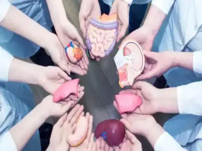 Organ donation from 731 individuals will give life to 2,101 individuals, families of donors will be honored | ७३१ व्यक्तींच्या अवयवदानाने २,१०१ व्यक्तींना जीवनदान, दात्यांच्या कुटुंबीयांचा होणार सन्मान Organ donation from 731 individuals will give life to 2,101 individuals, families of donors will be honored | ७३१ व्यक्तींच्या अवयवदानाने २,१०१ व्यक्तींना जीवनदान, दात्यांच्या कुटुंबीयांचा होणार सन्मान