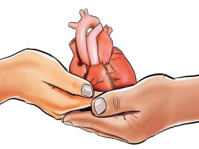 The organ donation graph tripled | चिंताजनक! अवयवदानाचा आलेख तिपटीने घसरला The organ donation graph tripled | चिंताजनक! अवयवदानाचा आलेख तिपटीने घसरला