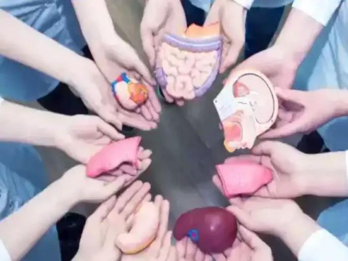 60 organ donations; 162 people donated their lives; Mumbai division surpasses last year's figure; 10 brain-dead donors increase this year | 60 अवयवदान; 162 जणांना जीवदान; मुंबई विभागाने पार केला गेल्यावर्षीचा आकडा; यंदा १० मेंदूमृत दात्यांची वाढ