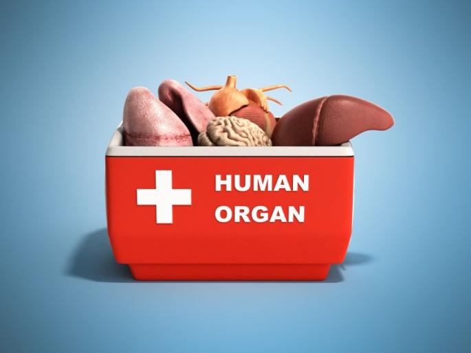 Bhandara's farmer donated organs to Nagpur: Five patients get new life | भंडाऱ्याच्या शेतकऱ्याचे नागपुरात अवयवदान : पाच रुग्णांना मिळाले नवजीवन Bhandara's farmer donated organs to Nagpur: Five patients get new life | भंडाऱ्याच्या शेतकऱ्याचे नागपुरात अवयवदान : पाच रुग्णांना मिळाले नवजीवन