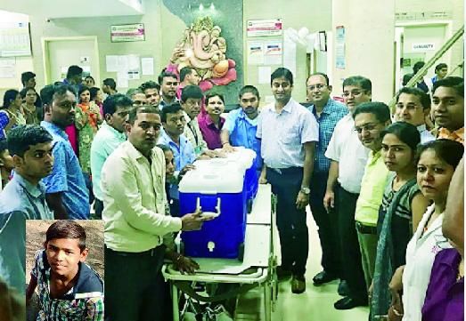 Aurangabad to Nagpur, 600 km green corridor | औरंगाबाद ते नागपूर तब्बल ६०० किलोमीटरचा ग्रीन कॉरिडॉर