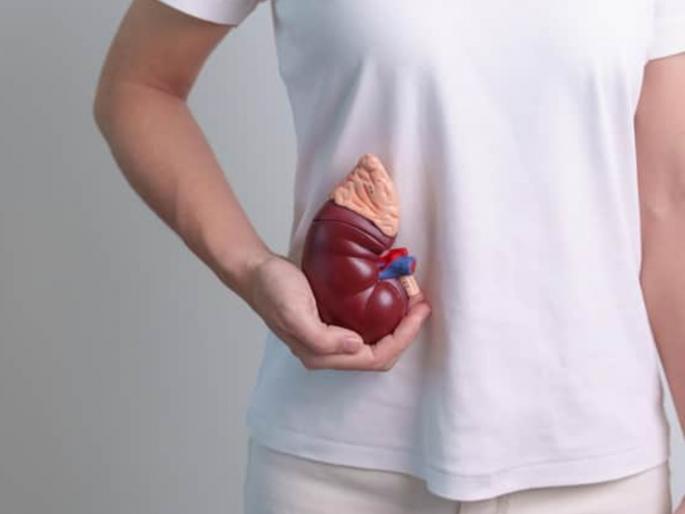 Create an organ donor swap registry, instructions from the Center's 'NOTO' to all states | अवयवदात्याची स्वॅप रजिस्ट्री तयार करा, केंद्राच्या ‘नोटो’कडून सर्व राज्यांना सूचना