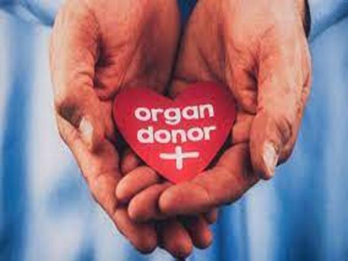 Organ donation movement is gaining strength in Kolhapur | मृत्यूनंतरही त्यांचे हृदय धडधडते!, कोल्हापुरात अवयवदान चळवळीला मिळतंय बळ Organ donation movement is gaining strength in Kolhapur | मृत्यूनंतरही त्यांचे हृदय धडधडते!, कोल्हापुरात अवयवदान चळवळीला मिळतंय बळ