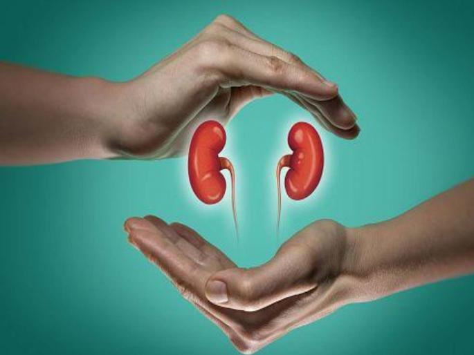 Organ transplant surgery now affordable | अवयव प्रत्यारोपण शस्त्रक्रिया आता खिशाला परवडणार? Organ transplant surgery now affordable | अवयव प्रत्यारोपण शस्त्रक्रिया आता खिशाला परवडणार?