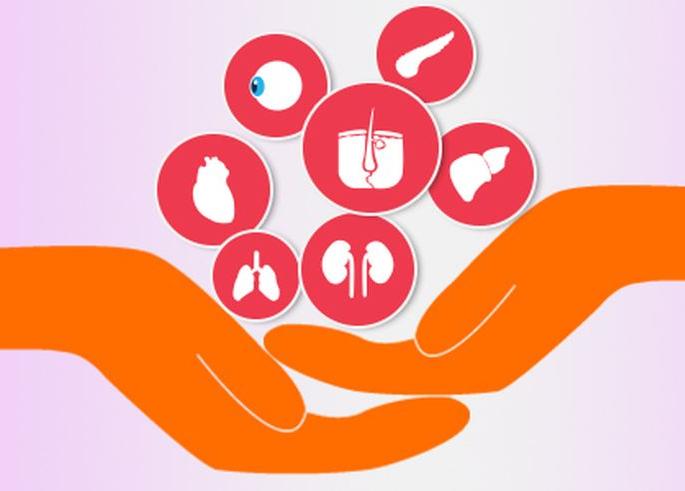 Thane in Organ donation | ठाणे तेथे अवयवदानात उणे