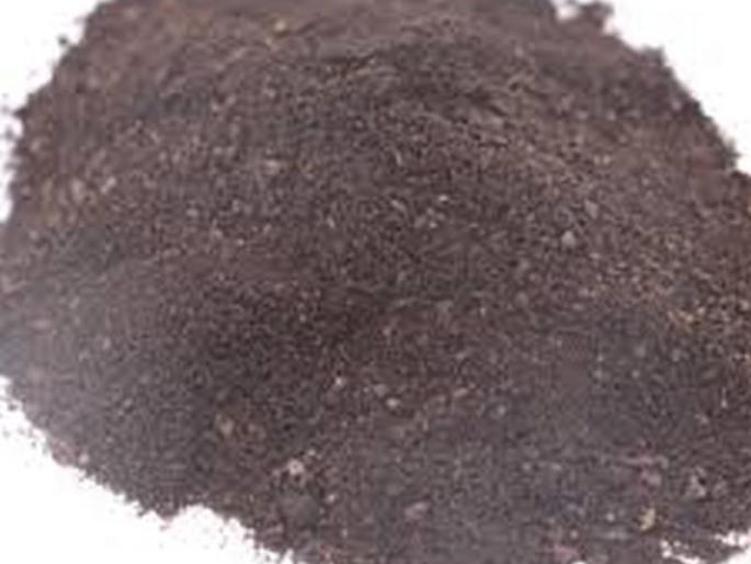 organic compost fertilizer in Akola district will be going to Sabarmati! | अकोला जिल्ह्यातील सोनखत साबरमतीला जाणार! organic compost fertilizer in Akola district will be going to Sabarmati! | अकोला जिल्ह्यातील सोनखत साबरमतीला जाणार!