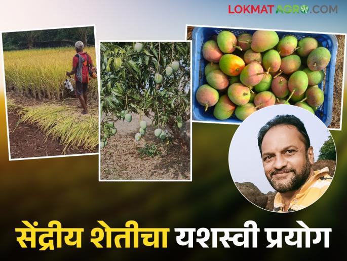 Dhananjay's organic farming has brought positive changes in the productivity, quality and taste of agricultural produce; Read in detail | शेतमालाची उत्पादकता, दर्जा, चव यामध्ये सकारात्मक बदल करणारी धनंजय यांची सेंद्रीय शेती; वाचा सविस्तर