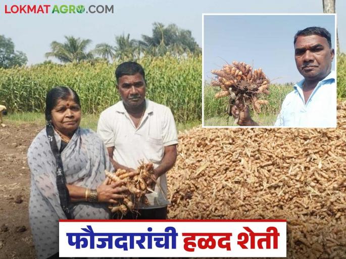 Turmeric grown from cow dung and urine; Earned Rs 4.5 lakh in nine months | गाईच्या मल-मूत्रातून पिकवली हळद; नऊ महिन्यांत केली साडेचार लाख रुपयांची कमाई Turmeric grown from cow dung and urine; Earned Rs 4.5 lakh in nine months | गाईच्या मल-मूत्रातून पिकवली हळद; नऊ महिन्यांत केली साडेचार लाख रुपयांची कमाई