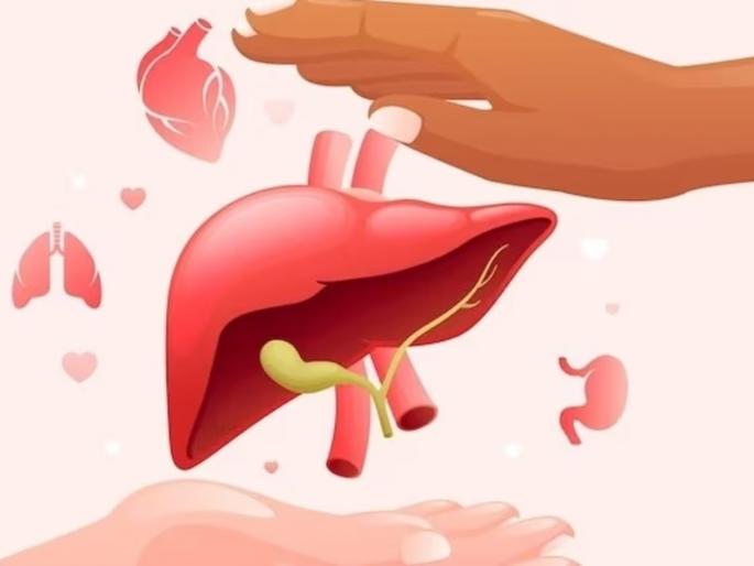 26 year old youth organ donation | २६ वर्षाच्या तरुणाचे अवयवदान