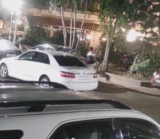dog attacked the filmmaker son third incident of the year in a single tower | चित्रपट निर्मात्याच्या मुलावर श्वानाचा हल्ला! एकाच टॉवरमध्ये वर्षभरातील तिसरी घटना