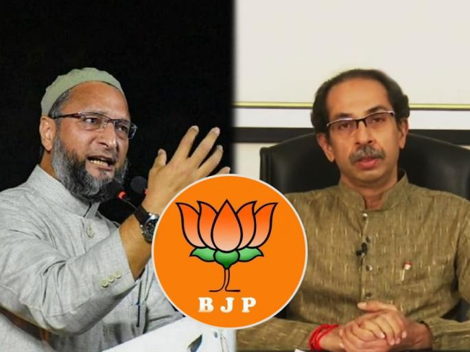 asaduddin owaisi claims that shiv sena will form alliance with bjp again in 2024 | “२०२४ मध्ये शिवसेना पुन्हा भाजपसोबत जाईल, तुम्ही बघाच”; ओवेसींची मोठी भविष्यवाणी asaduddin owaisi claims that shiv sena will form alliance with bjp again in 2024 | “२०२४ मध्ये शिवसेना पुन्हा भाजपसोबत जाईल, तुम्ही बघाच”; ओवेसींची मोठी भविष्यवाणी