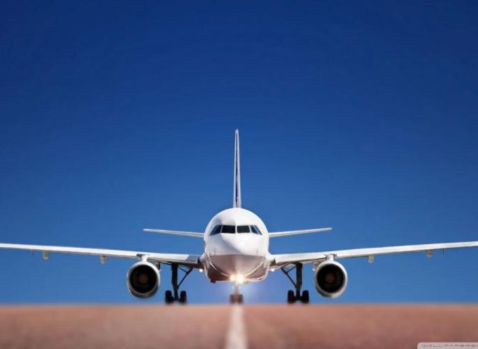 The thrill of the moment! Pilot's alert avoids 'take off' and 171 passengers on board survived! | थरार क्षणभराचा! वैमानिकाच्या सतर्कतेने ‘टेक ऑफ’ टळले अन् विमानातील १७१ प्रवाशांचा वाचला जीव!